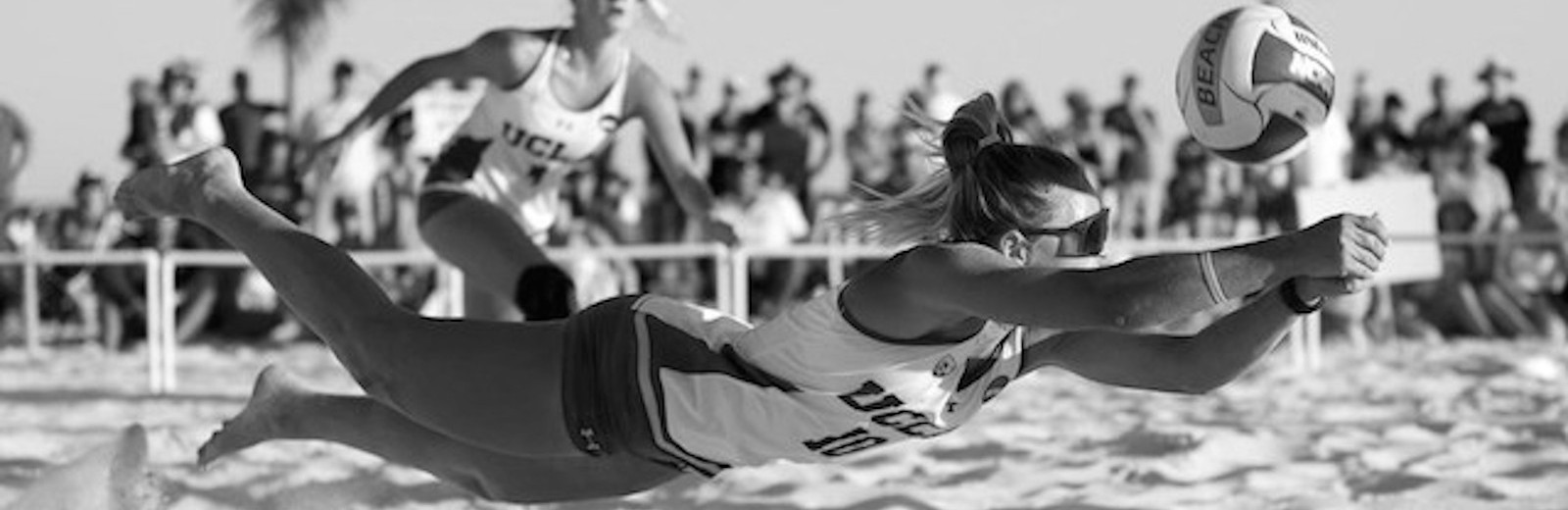 college beach volleyball & avca